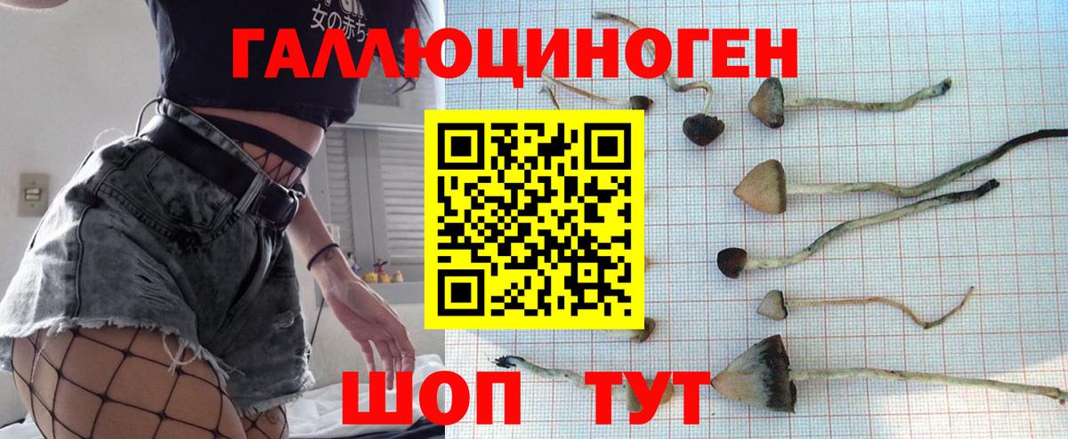 Галлюциногенные грибы мухоморы  Псилоцибиновые грибы мухоморы  Вход с VPN  Елизово 