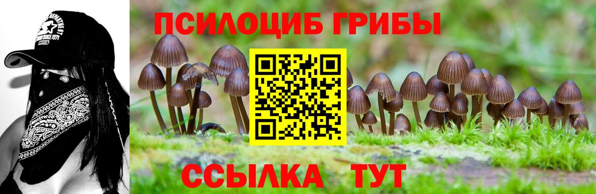 Галлюциногенные грибы мицелий Елизово